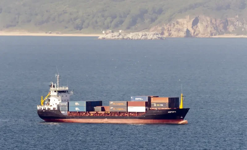 AVRORA Container Ship IMO 8504258 photo 4