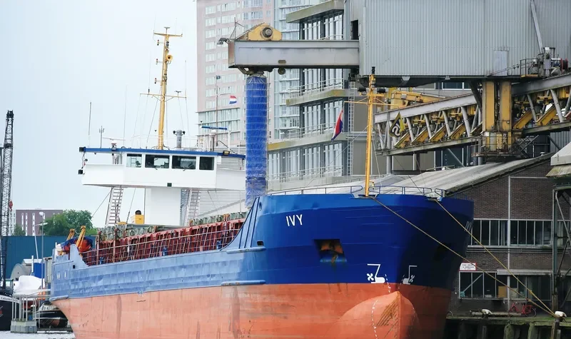 IVY General Cargo IMO 8504284 photo 3