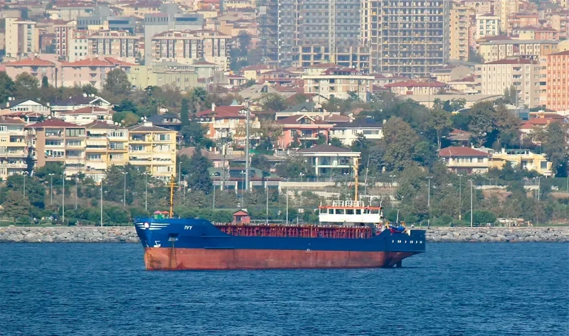 IVY General Cargo IMO 8504284 photo 8