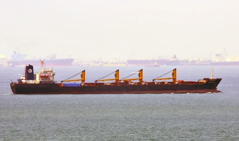 SEA WARRIOR Bulk Carrier IMO 8505329