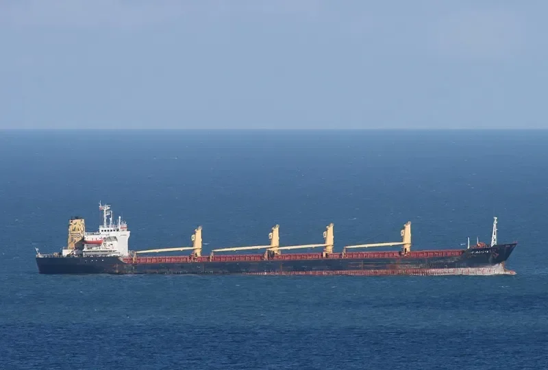 SEA WARRIOR Bulk Carrier IMO 8505329 photo 3