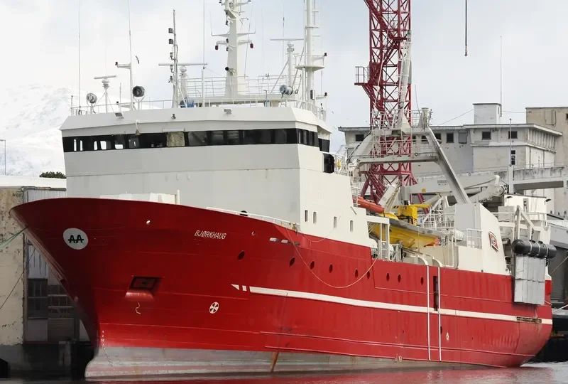 ARCTIC OPILIO General Cargo IMO 8505472 photo 7