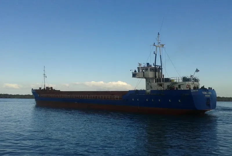 TEMEL REIS General Cargo IMO 8505642 photo 5