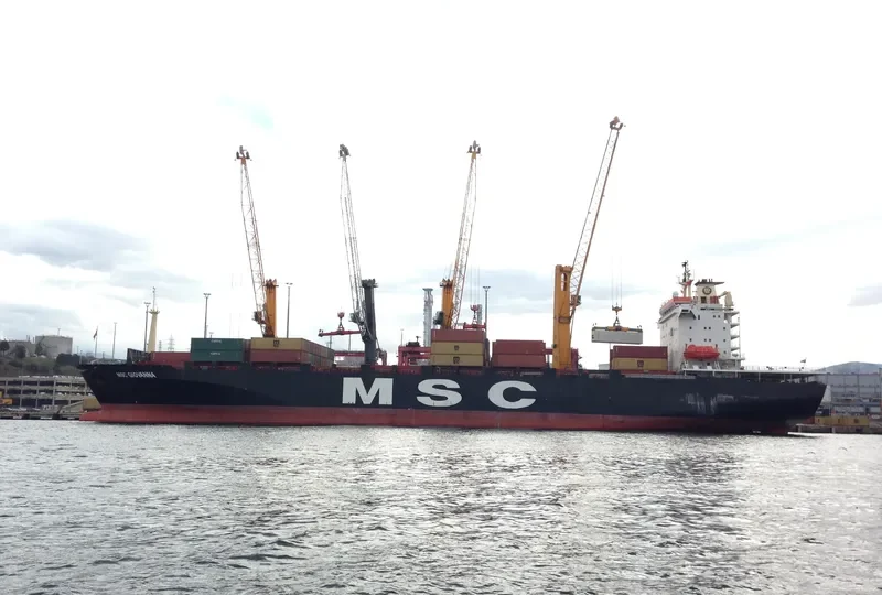 MSC GIOVANNA Container Ship IMO 8505836