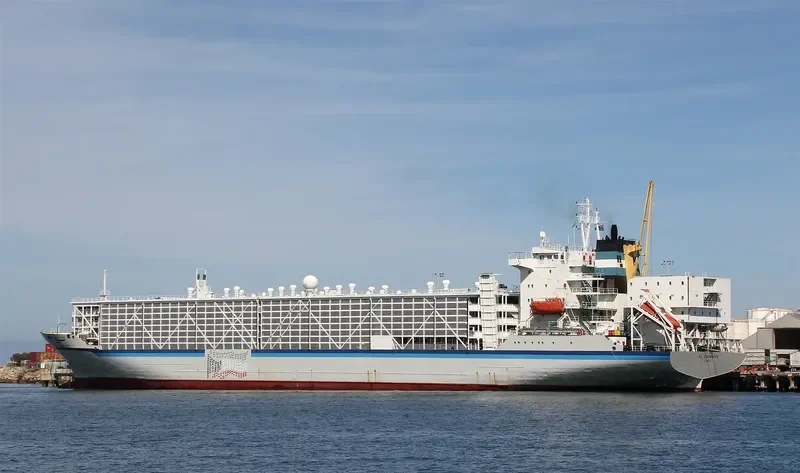 BASHAR ONE TRANSPORT General Cargo IMO 8506361