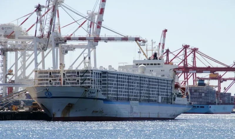 BASHAR ONE TRANSPORT General Cargo IMO 8506361 photo 2