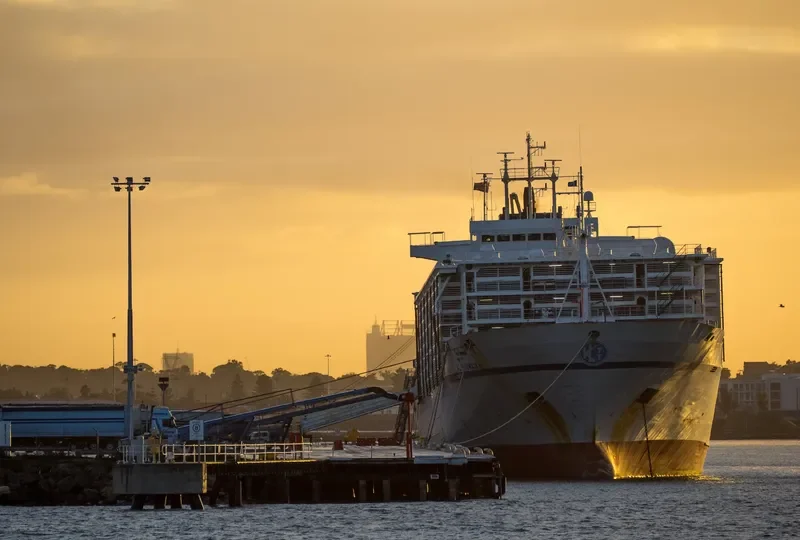 BASHAR ONE TRANSPORT General Cargo IMO 8506361 photo 3