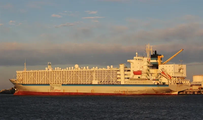 BASHAR ONE TRANSPORT General Cargo IMO 8506361 photo 4