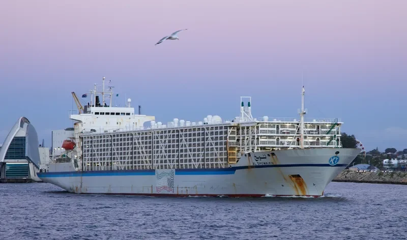 BASHAR ONE TRANSPORT General Cargo IMO 8506361 photo 6