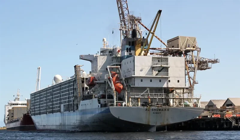 BASHAR ONE TRANSPORT General Cargo IMO 8506361 photo 7