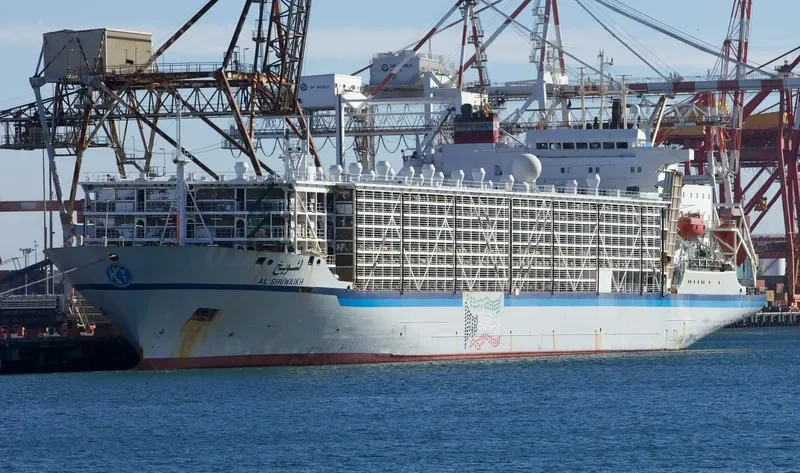 BASHAR ONE TRANSPORT General Cargo IMO 8506361 photo 8