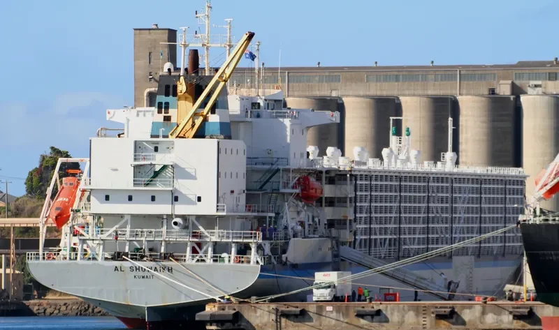 BASHAR ONE TRANSPORT General Cargo IMO 8506361 photo 9
