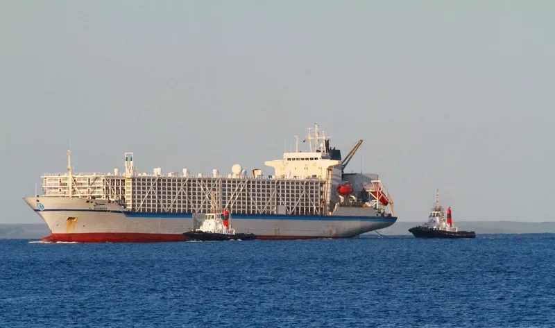 BASHAR ONE TRANSPORT General Cargo IMO 8506361 photo 10
