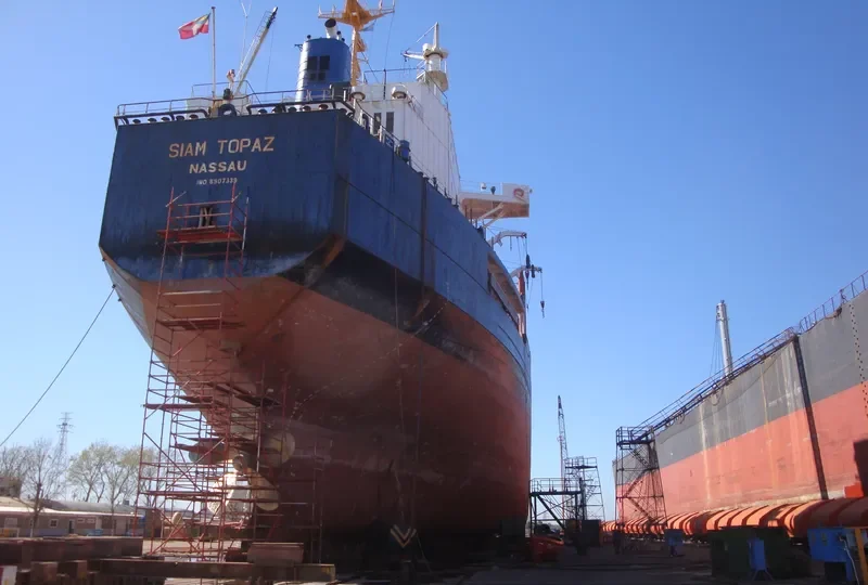 FLORA Bulk Carrier IMO 8507339