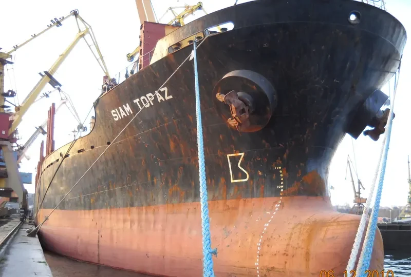 FLORA Bulk Carrier IMO 8507339 photo 2
