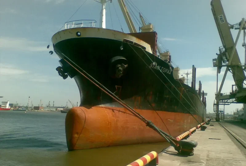 FLORA Bulk Carrier IMO 8507339 photo 3