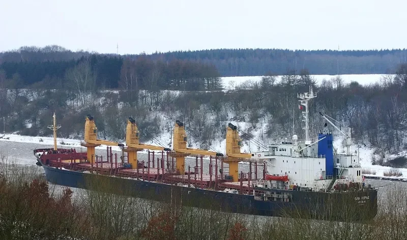 FLORA Bulk Carrier IMO 8507339 photo 4