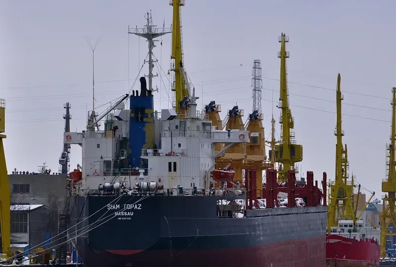 FLORA Bulk Carrier IMO 8507339 photo 6