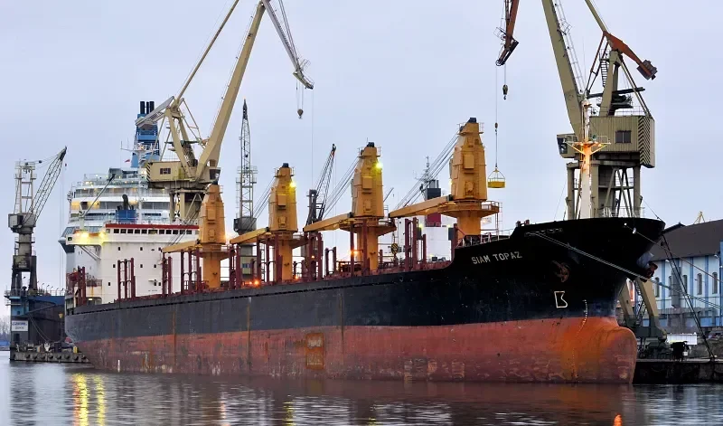 FLORA Bulk Carrier IMO 8507339 photo 8