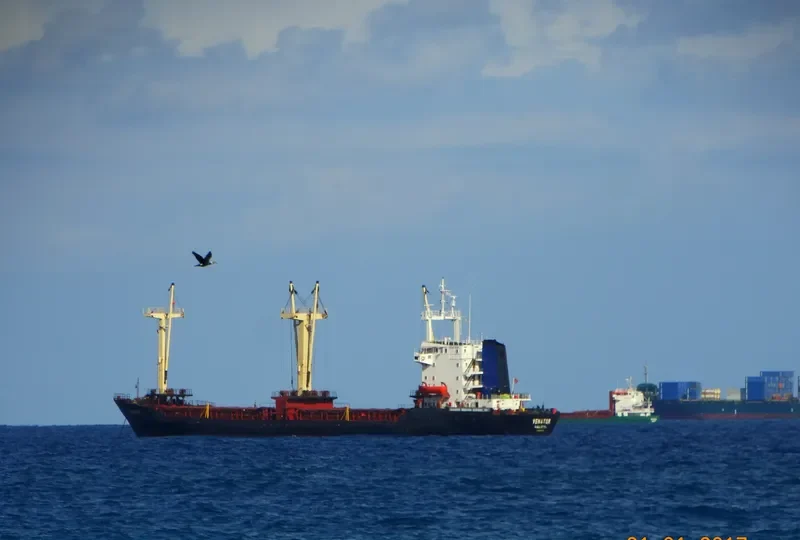 HESEN M General Cargo IMO 8507470 photo 6