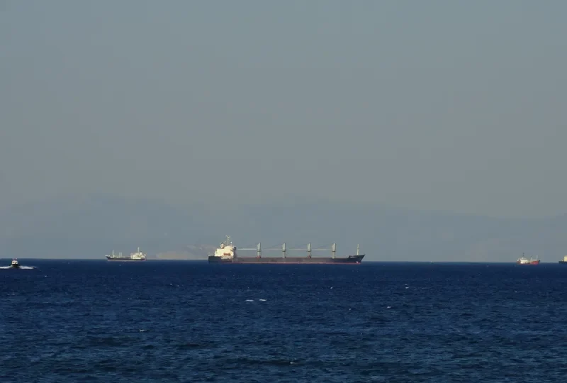 DEEP TRUE Bulk Carrier IMO 8508577 photo 2