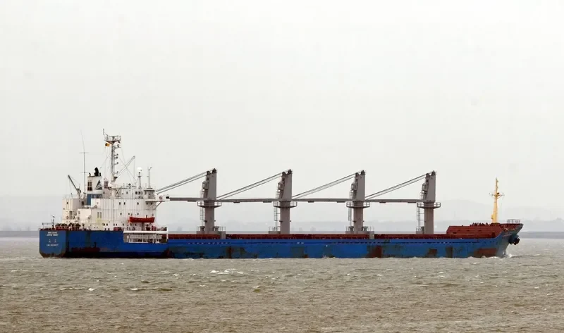 DEEP TRUE Bulk Carrier IMO 8508577 photo 3