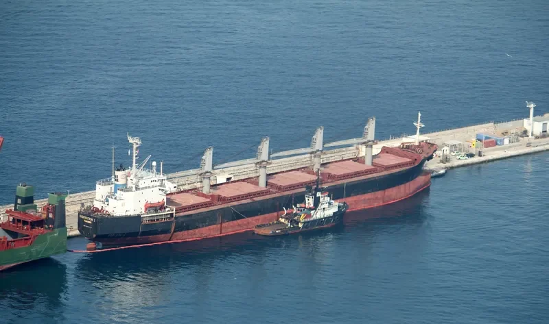 DEEP TRUE Bulk Carrier IMO 8508577 photo 4