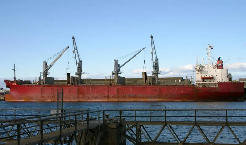 DEEP TRUE Bulk Carrier IMO 8508577 photo 5