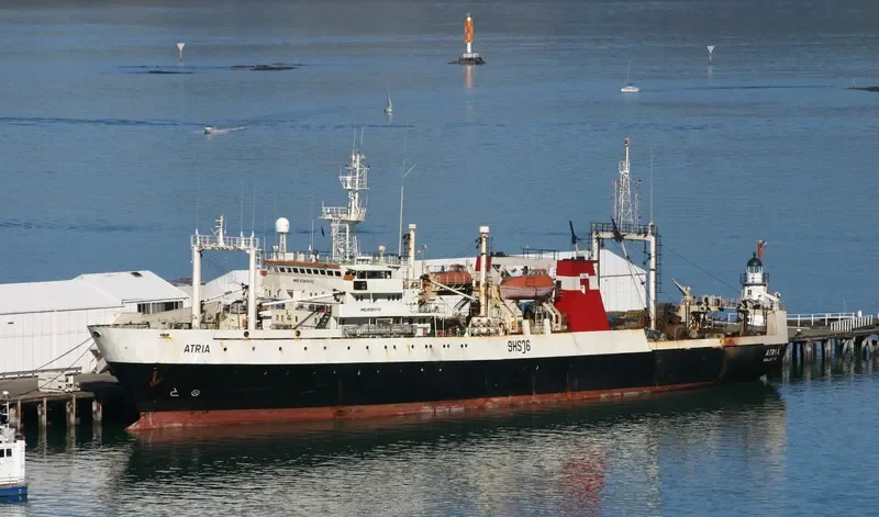 GLORIA General Cargo IMO 8509143 photo 3