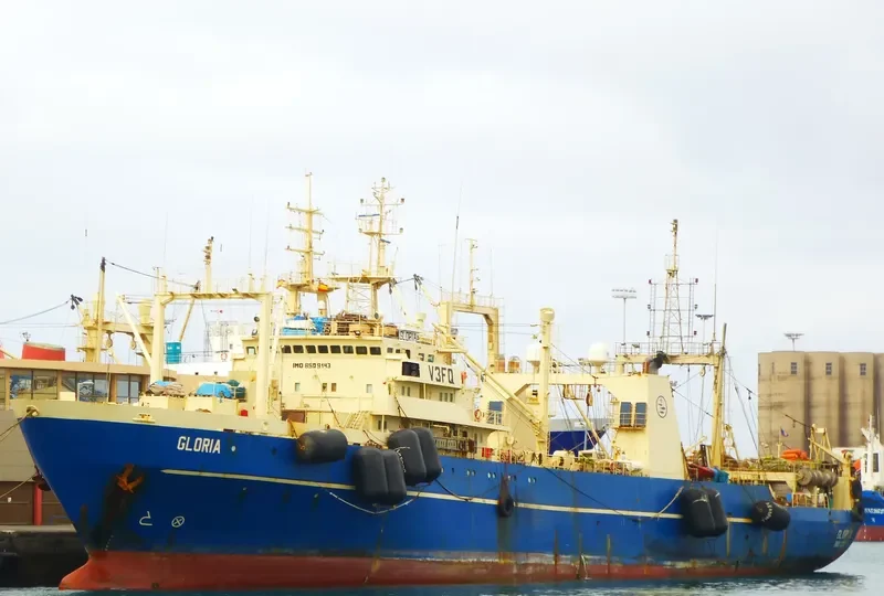 GLORIA General Cargo IMO 8509143 photo 4