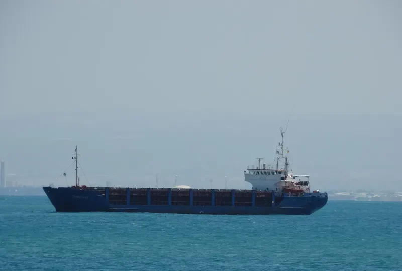 BERONIKE General Cargo IMO 8509363 photo 5
