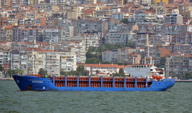 BERONIKE General Cargo IMO 8509363 photo 8