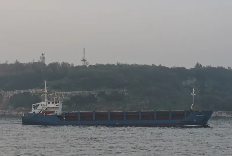 BERONIKE General Cargo IMO 8509363 photo 10