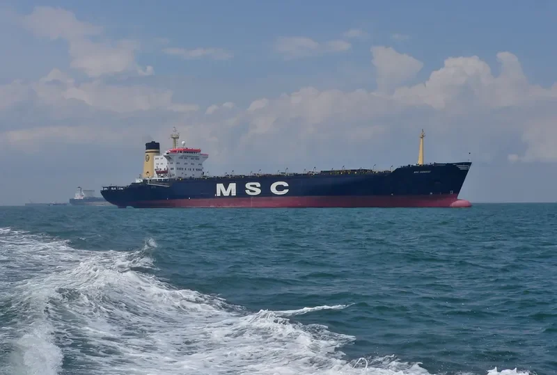 MSC DENISSE Container Ship IMO 8509375 photo 4