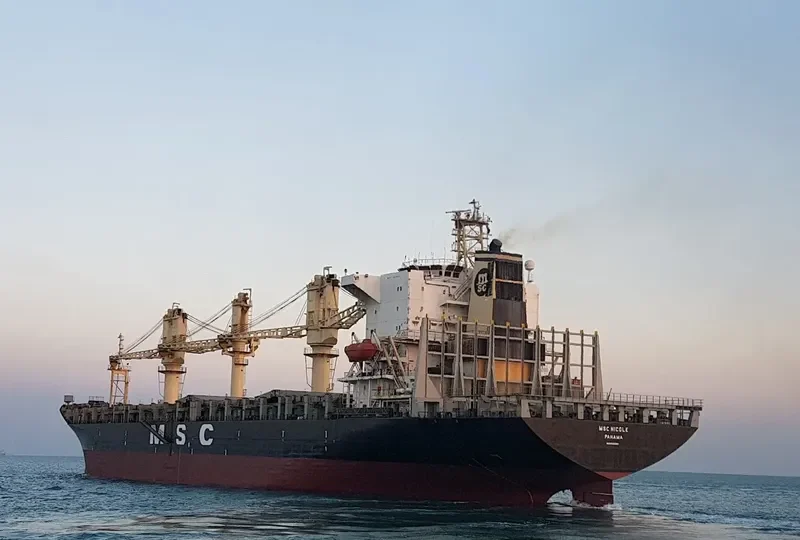 MSC NICOLE Container Ship IMO 8509387