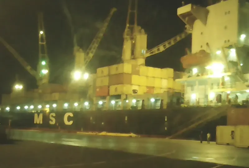 MSC NICOLE Container Ship IMO 8509387 photo 2