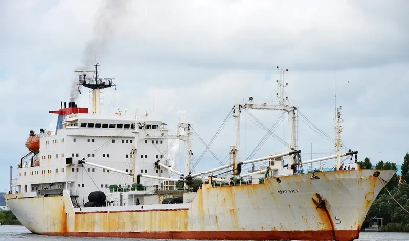 NOVIY SVET General Cargo IMO 8509557 photo 8