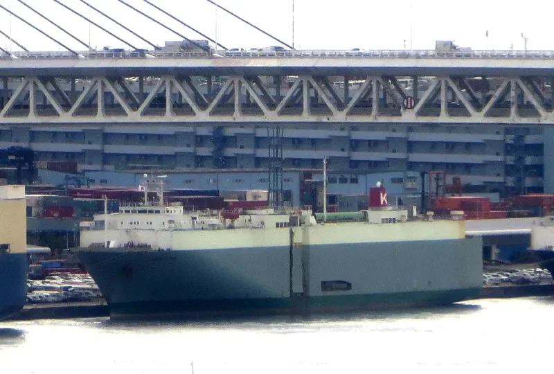 GOLDEN FAN General Cargo IMO 8511263 photo 3