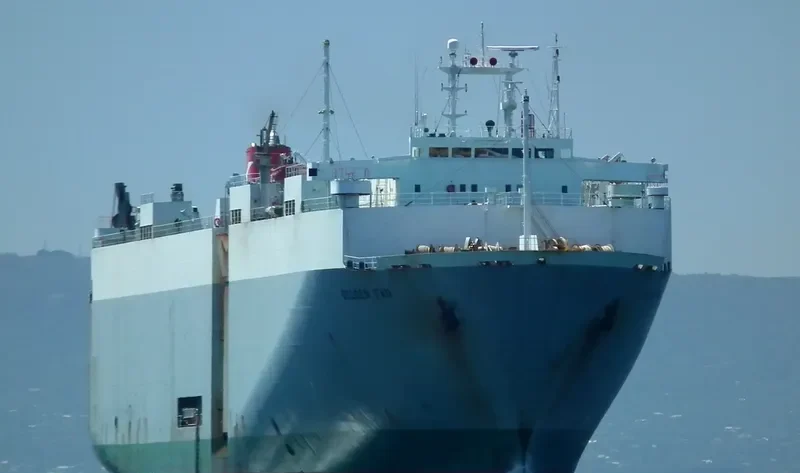 GOLDEN FAN General Cargo IMO 8511263 photo 8