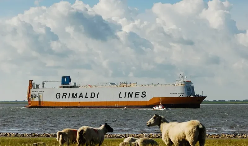VENEZIA Ro-Ro IMO 8511706
