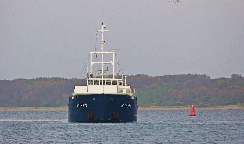 RUBYN General Cargo IMO 8511885 photo 7