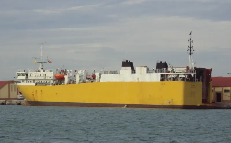 DIANA G Ro-Ro IMO 8512310 photo 2