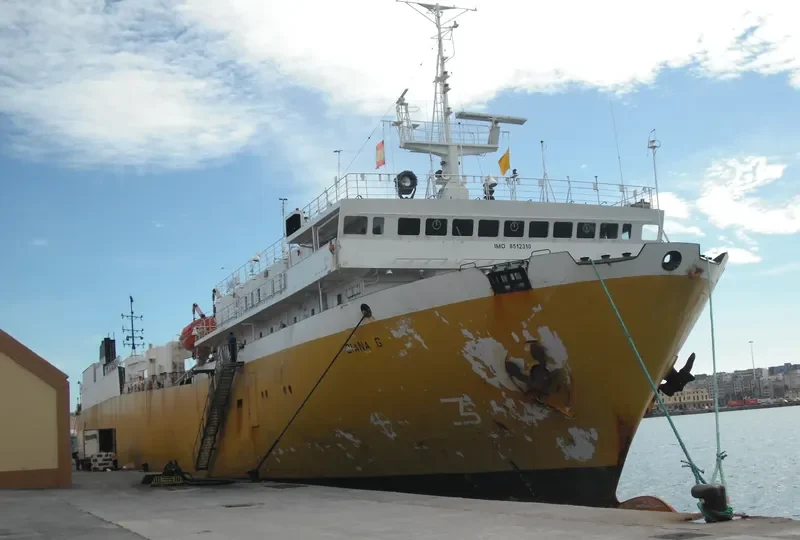 DIANA G Ro-Ro IMO 8512310 photo 3