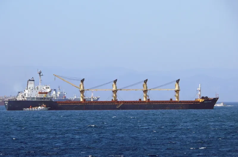 SANTA SURIA I Bulk Carrier IMO 8512841 photo 5
