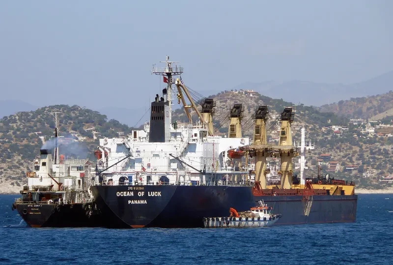 SANTA SURIA I Bulk Carrier IMO 8512841 photo 6