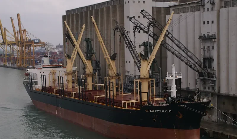 SANTA SURIA I Bulk Carrier IMO 8512841 photo 8
