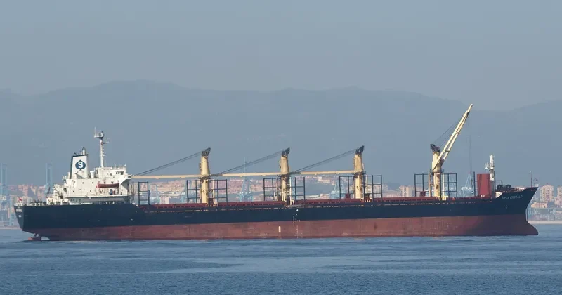 SANTA SURIA I Bulk Carrier IMO 8512841 photo 9