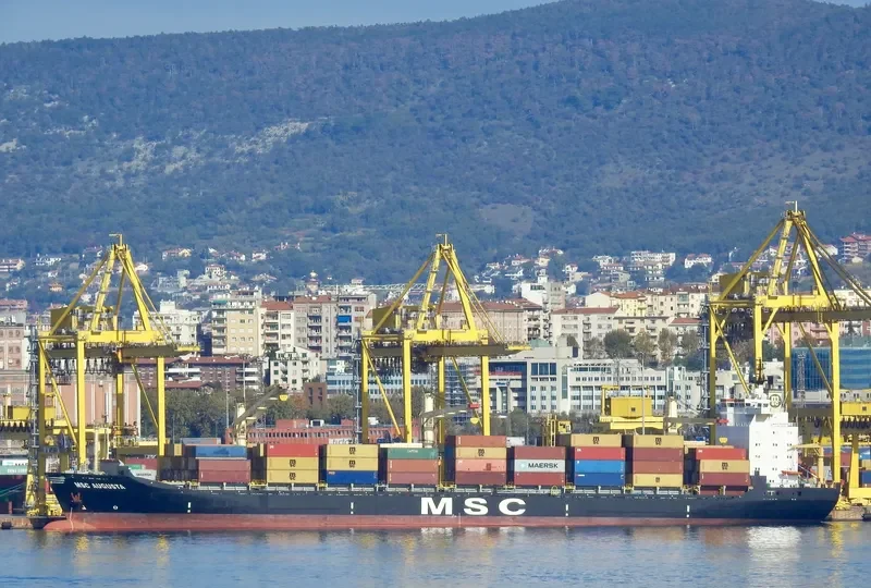 MSC AUGUSTA Container Ship IMO 8512891 photo 2
