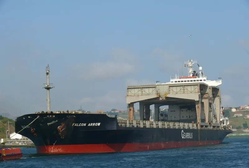 ARCTIC PEARL General Cargo IMO 8512956 photo 7