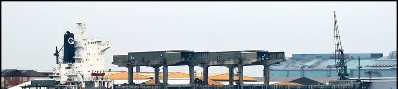 ARCTIC PEARL General Cargo IMO 8512956 photo 10
